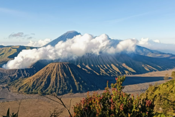 Bromo Travel