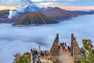 Regulations of TNBTS