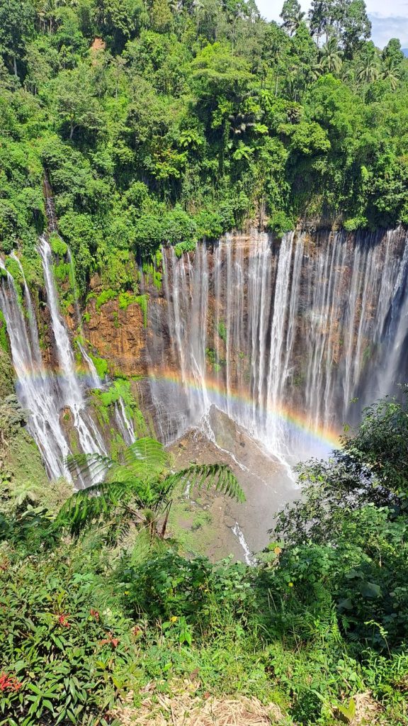 Bromo and Ijen Tour vs Bali