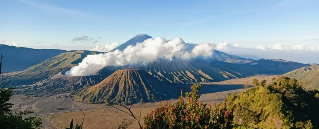 Bromo Travel