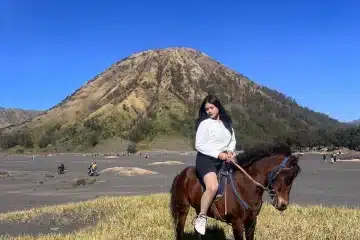 Bromo and Ijen tour vs Bali